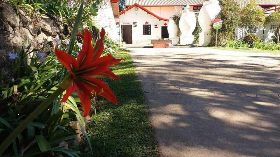 Pousada El Brujo Monte Verde  Exterior photo
